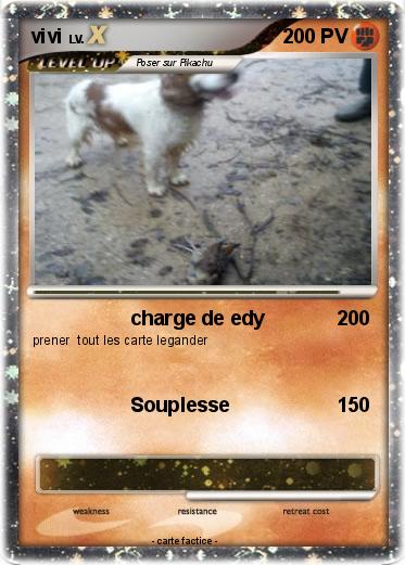 Pokemon vivi