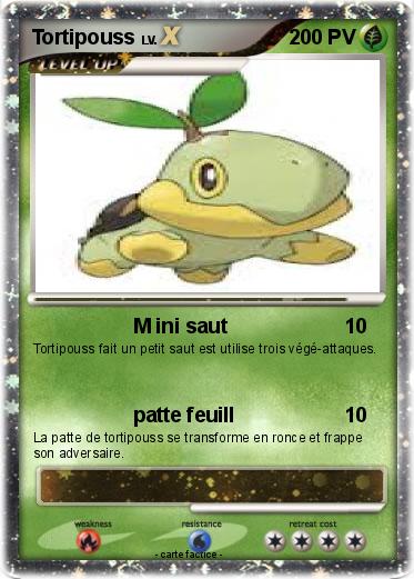 Pokemon Tortipouss