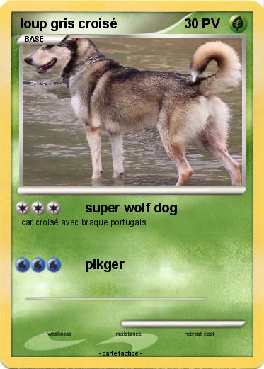Pokemon loup gris croisé