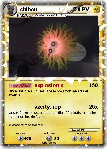 Pokemon chiboul                       2