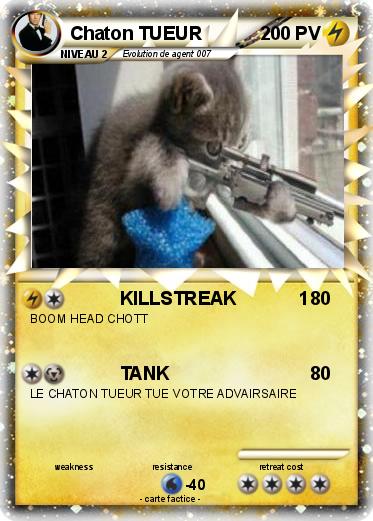 Pokemon Chaton TUEUR