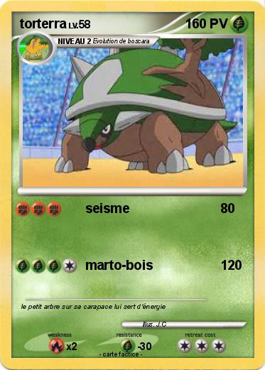 Pokemon torterra