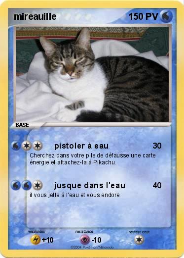 Pokemon mireauille