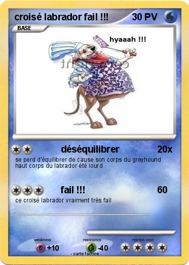 Pokemon croisé labrador fail !!!