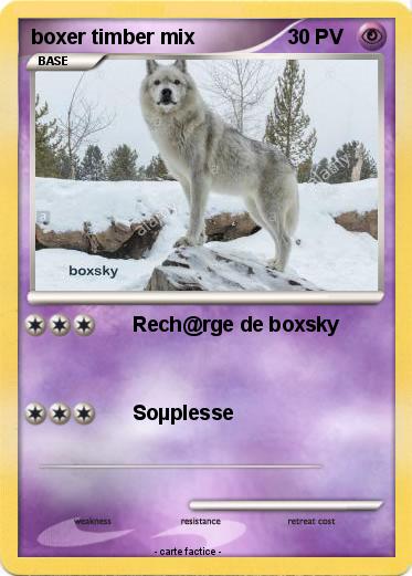 Pokemon boxer timber mix