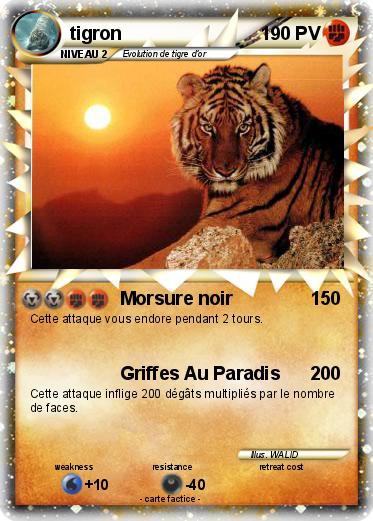 Pokemon tigron