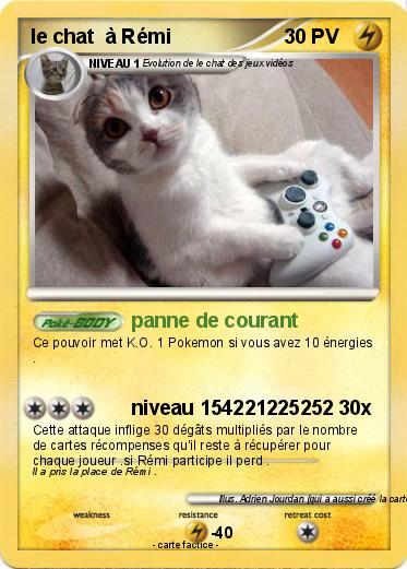 Pokemon le chat  à Rémi