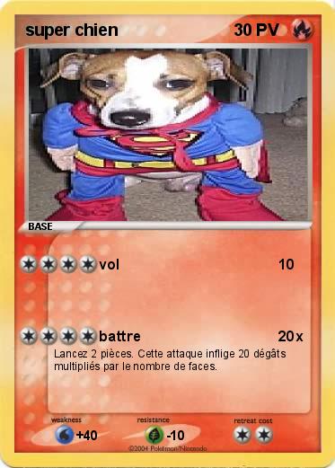 Pokemon super chien
