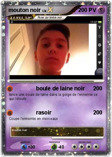Pokemon mouton noir