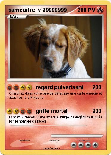 Pokemon sameurtre lv 99999999