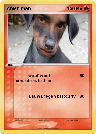 Pokemon chien man
