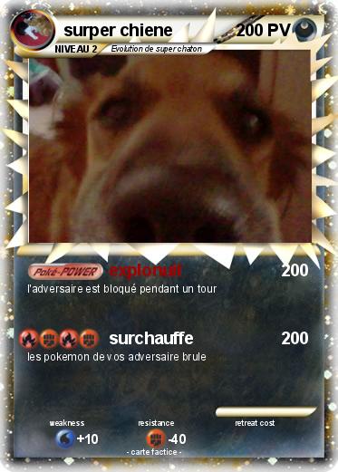 Pokemon surper chiene
