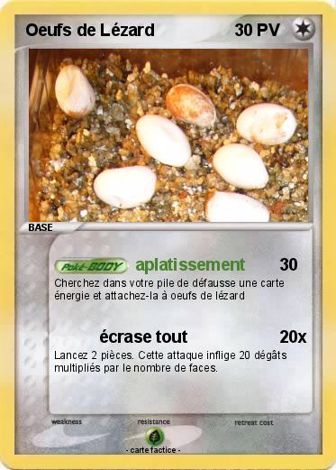 Pokemon Oeufs de Lézard