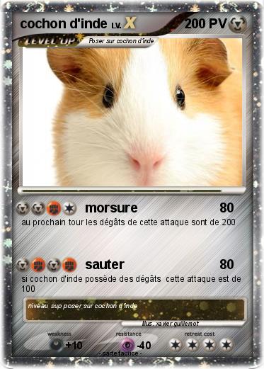 Pokemon cochon d'inde