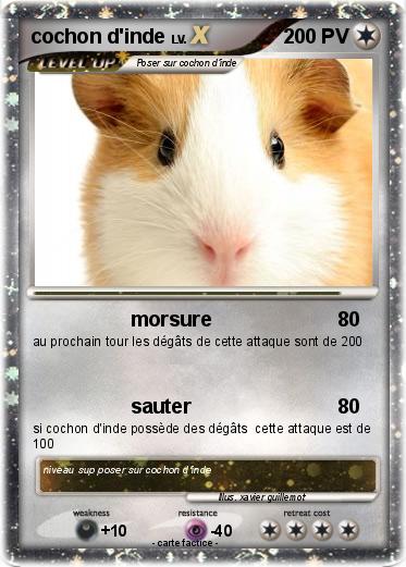 Pokemon cochon d'inde