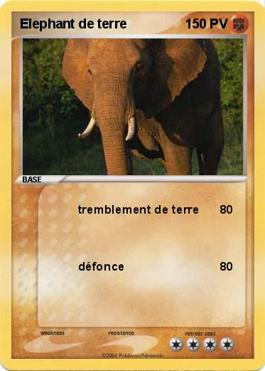 Pokemon Elephant de terre