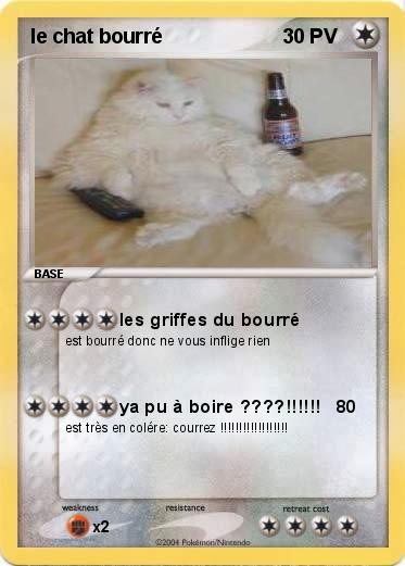 Pokemon Le Chat Bourre