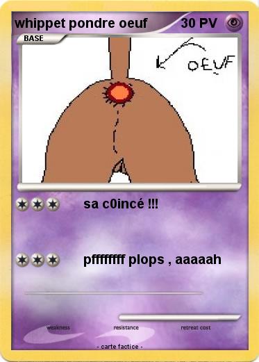 Pokemon whippet pondre oeuf