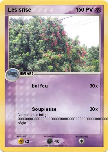 Pokemon Les srise