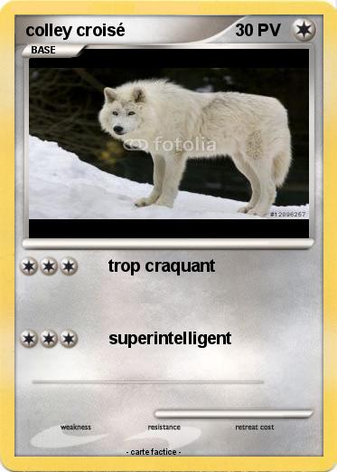 Pokemon colley croisé