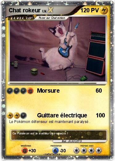 Pokemon Chat rokeur