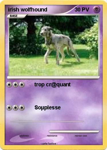 Pokemon irish wolfhound