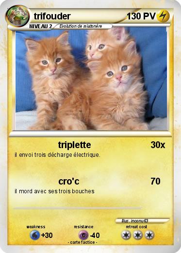 Pokemon trifouder