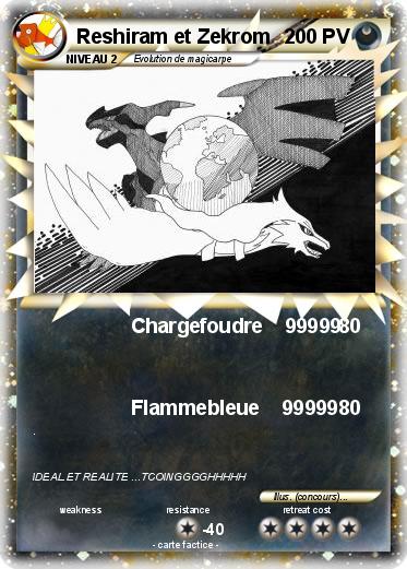 Pokemon Reshiram et Zekrom