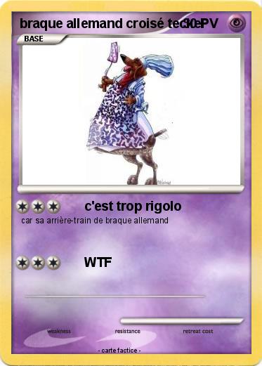 Pokemon braque allemand croisé teckel