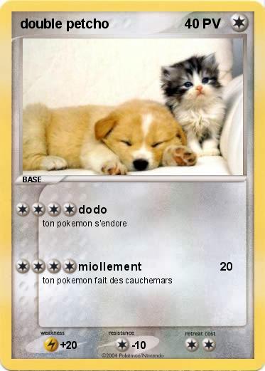 Pokemon double petcho