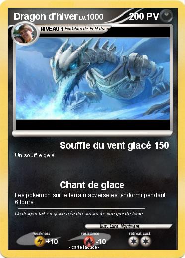Pokemon Dragon d'hiver