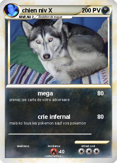 Pokemon chien niv X