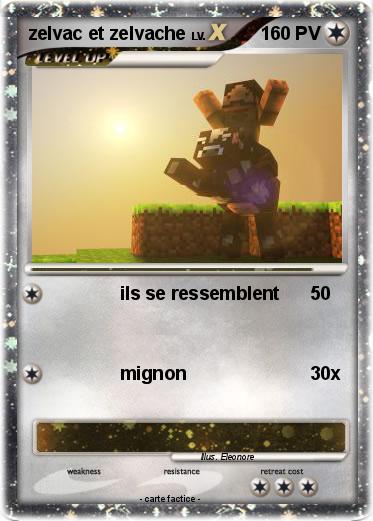 Pokemon zelvac et zelvache
