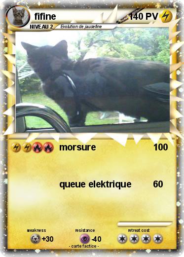 Pokemon fifine
