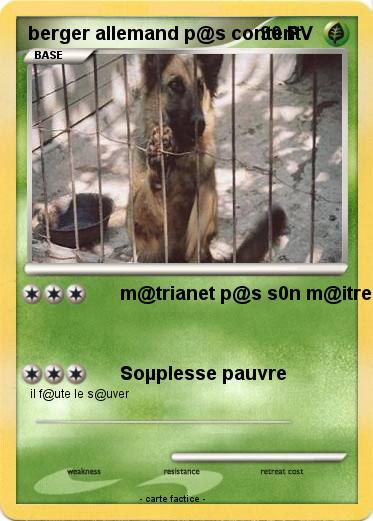 Pokemon berger allemand p@s content