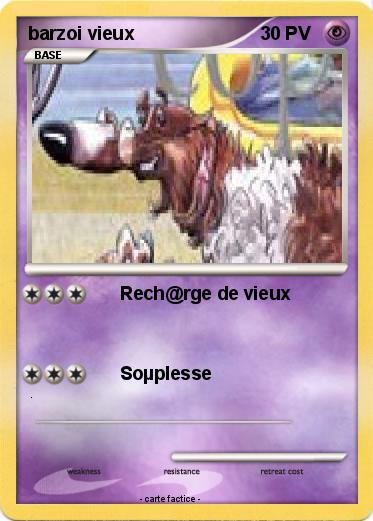 Pokemon barzoi vieux