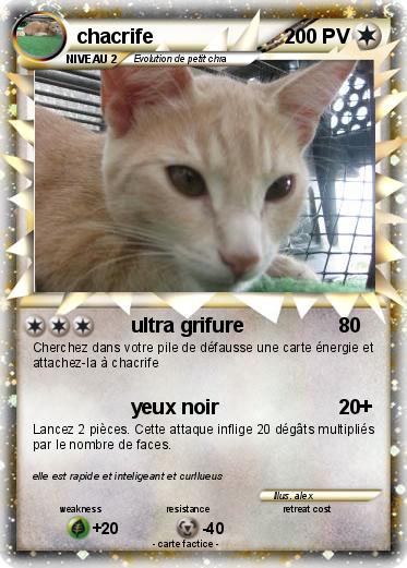 Pokemon chacrife