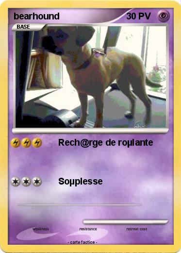 Pokemon bearhound