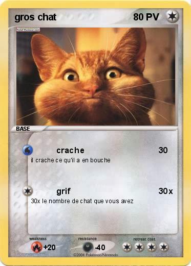 Pokemon gros chat