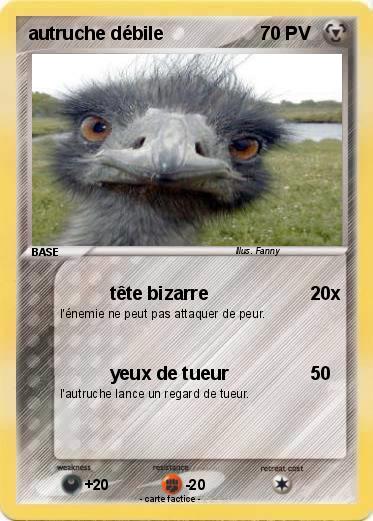 Pokemon autruche débile
