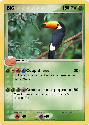 Pokemon BIG