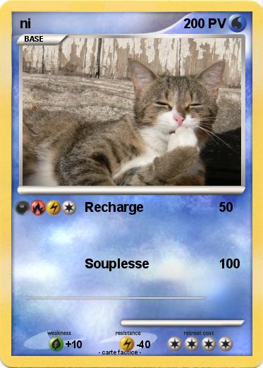 Pokemon ni