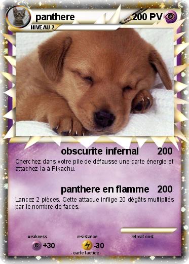 Pokemon panthere