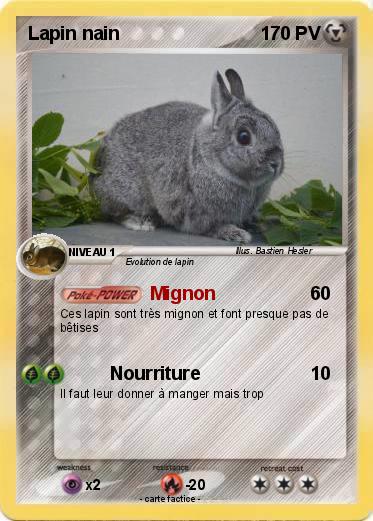 Pokemon Lapin nain