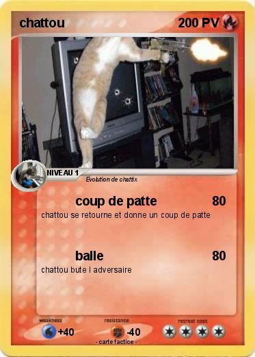 Pokemon chattou