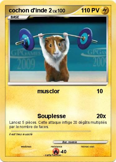 Pokemon cochon d'inde 2