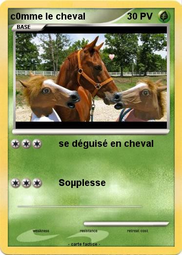 Pokemon c0mme le cheval