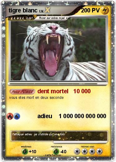 Pokemon tigre blanc