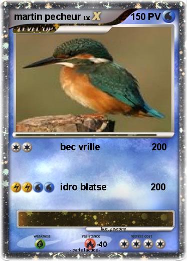 Pokemon martin pecheur