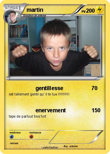 Pokemon martin